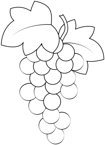 Grape Vine Coloring Page